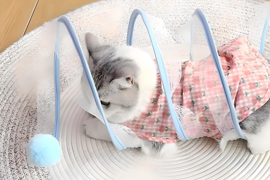 Collapsible Cat Tunnel with Toys